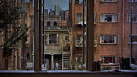 raymond burr rear window